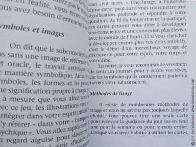 Messages de l'Esprit cartes Oracle de John Holland - Graine d'Eden Développement personnel, spiritualité, tarots et oracles divinatoires, Bibliothèques des Oracles, avis, présentation, review , revue