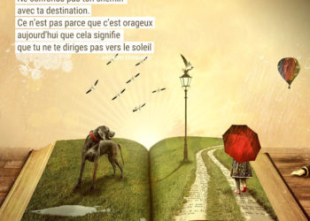 Ne confonds pas ton chemin avec ta destination. Ce n’est pas parce que c’est orageux aujourd’hui que cela signifie que tu ne te diriges pas vers le soleil. Anthony Fernando - Graine d'Eden Citations