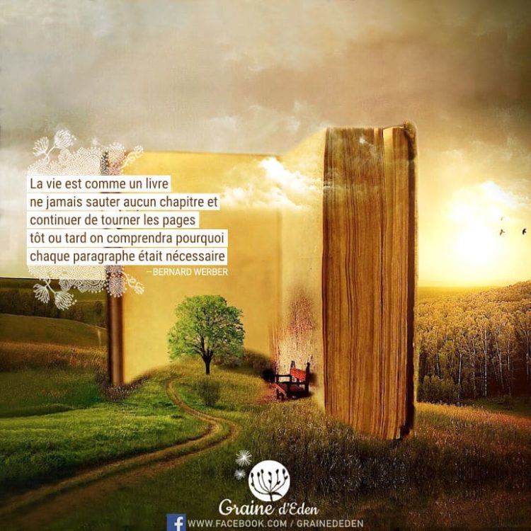 La vie est comme un livre : ne jamais sauter aucun chapitre et continuer de tourner les pages, tôt ou tard on comprendra pourquoi chaque paragraphe était nécessaire. BERNARD WERBER - Graine d'Eden Citations