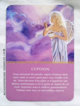 L'Oracle des Anges de Doreen Virtue - Graine d'Eden Développement personnel, spiritualité, tarots et oracles divinatoires, Bibliothèques des Oracles, avis, présentation, review , revue