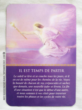 L'Oracle des Anges de Doreen Virtue - Graine d'Eden Développement personnel, spiritualité, tarots et oracles divinatoires, Bibliothèques des Oracles, avis, présentation, review , revue