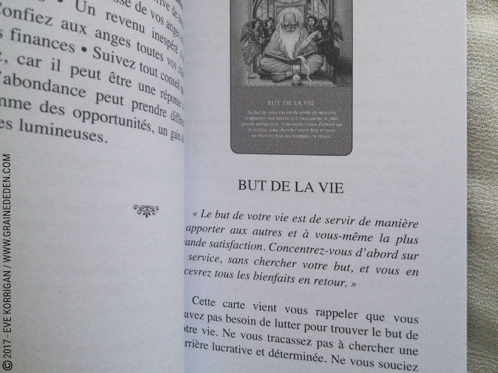 Graine d'Eden Développement personnel, spiritualité, tarots et oracles divinatoires, Bibliothèques des Oracles, avis, présentation, review , revue