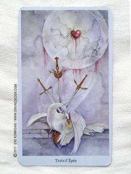 Le Tarot des Mondes Oniriques de Stephanie Pui-Mun Law et Barbara Moore - Graine d'Eden Développement personnel, spiritualité, tarots et oracles divinatoires, Bibliothèques des Oracles, avis, présentation, review , revue