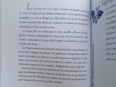 Le Tarot des Mondes Oniriques de Stephanie Pui-Mun Law et Barbara Moore - Graine d'Eden Développement personnel, spiritualité, tarots et oracles divinatoires, Bibliothèques des Oracles, avis, présentation, review , revue