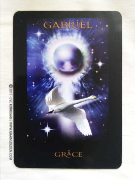 Les Cartes Oracle Les Anges de L'Atlantide de Stewart Pearce et Richard Crookes - Graine d'Eden Développement personnel, spiritualité, tarots et oracles divinatoires, Bibliothèques des Oracles, avis, présentation, review , revue