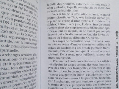 Les Cartes Oracle Les Anges de L'Atlantide de Stewart Pearce et Richard Crookes - Graine d'Eden Développement personnel, spiritualité, tarots et oracles divinatoires, Bibliothèques des Oracles, avis, présentation, review , revue