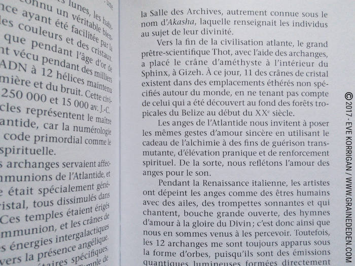 Les Cartes Oracle Les Anges de L'Atlantide de Stewart Pearce et Richard Crookes - Graine d'Eden Développement personnel, spiritualité, tarots et oracles divinatoires, Bibliothèques des Oracles, avis, présentation, review , revue