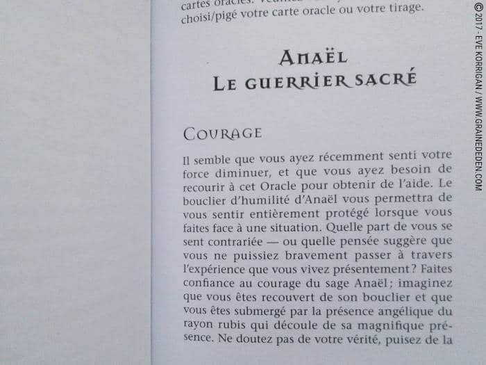 Les Cartes Oracle Les Anges de L'Atlantide de Stewart Pearce et Richard Crookes - Graine d'Eden Développement personnel, spiritualité, tarots et oracles divinatoires, Bibliothèques des Oracles, avis, présentation, review , revue