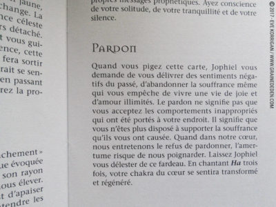 Les Cartes Oracle Les Anges de L'Atlantide de Stewart Pearce et Richard Crookes - Graine d'Eden Développement personnel, spiritualité, tarots et oracles divinatoires, Bibliothèques des Oracles, avis, présentation, review , revue