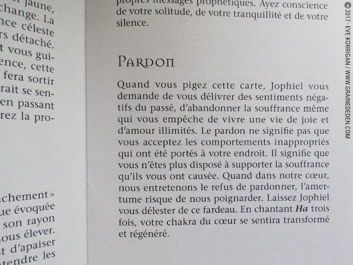 Les Cartes Oracle Les Anges de L'Atlantide de Stewart Pearce et Richard Crookes - Graine d'Eden Développement personnel, spiritualité, tarots et oracles divinatoires, Bibliothèques des Oracles, avis, présentation, review , revue