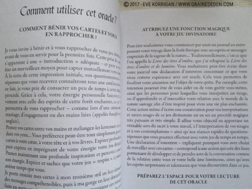 Cartes Oracle Les Esprits de la Forêt de Lucy Cavendish - Découvrez cet Oracle. Graine d'Eden - Fiche de La bibliothèque des Oracles. Présentation et images. - Graine d'Eden Développement personnel, spiritualité, tarots et oracles divinatoires, Bibliothèques des Oracles, avis, présentation, review , revue