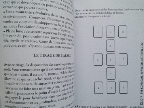 Cartes Oracle Les Esprits de la Forêt de Lucy Cavendish - Découvrez cet Oracle. Graine d'Eden - Fiche de La bibliothèque des Oracles. Présentation et images. - Graine d'Eden Développement personnel, spiritualité, tarots et oracles divinatoires, Bibliothèques des Oracles, avis, présentation, review , revue