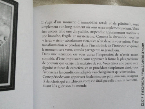 Cartes Oracle Les Esprits de la Forêt de Lucy Cavendish - Découvrez cet Oracle. Graine d'Eden - Fiche de La bibliothèque des Oracles. Présentation et images. - Graine d'Eden Développement personnel, spiritualité, tarots et oracles divinatoires, Bibliothèques des Oracles, avis, présentation, review , revue