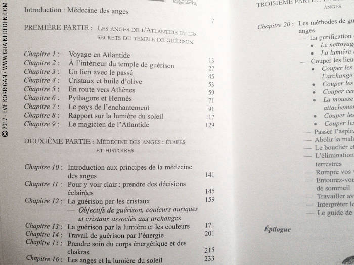 Review du livre La Médecine des Anges de Doreen Virtue : REVIEW et présentation de ce livre qui permet de pratiquer la Médecine des Anges. Graine d'Eden Développement personnel, spiritualité, tarots et oracles divinatoires, Bibliothèques des Oracles, avis, présentation, review , revue