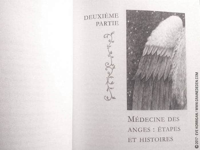 Review du livre La Médecine des Anges de Doreen Virtue : REVIEW et présentation de ce livre qui permet de pratiquer la Médecine des Anges. Graine d'Eden Développement personnel, spiritualité, tarots et oracles divinatoires, Bibliothèques des Oracles, avis, présentation, review , revue