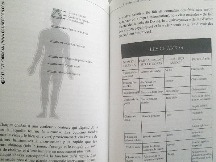 Review du livre La Médecine des Anges de Doreen Virtue : REVIEW et présentation de ce livre qui permet de pratiquer la Médecine des Anges. Graine d'Eden Développement personnel, spiritualité, tarots et oracles divinatoires, Bibliothèques des Oracles, avis, présentation, review , revue