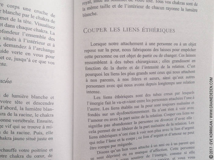 Review du livre La Médecine des Anges de Doreen Virtue : REVIEW et présentation de ce livre qui permet de pratiquer la Médecine des Anges. Graine d'Eden Développement personnel, spiritualité, tarots et oracles divinatoires, Bibliothèques des Oracles, avis, présentation, review , revue