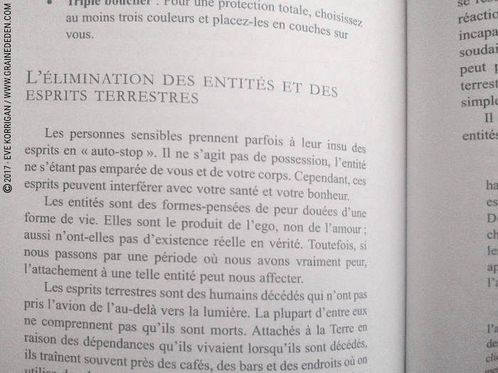 Review du livre La Médecine des Anges de Doreen Virtue : REVIEW et présentation de ce livre qui permet de pratiquer la Médecine des Anges. Graine d'Eden Développement personnel, spiritualité, tarots et oracles divinatoires, Bibliothèques des Oracles, avis, présentation, review , revue