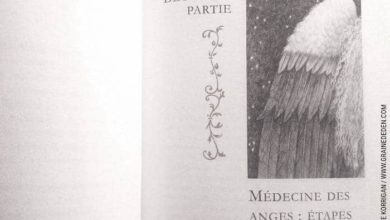 Review du livre La Médecine des Anges de Doreen Virtue : REVIEW et présentation de ce livre qui permet de pratiquer la Médecine des Anges. Graine d'Eden Développement personnel, spiritualité, tarots et oracles divinatoires, Bibliothèques des Oracles, avis, présentation, review , revue