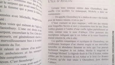 Review du livre La Médecine des Anges de Doreen Virtue : REVIEW et présentation de ce livre qui permet de pratiquer la Médecine des Anges. Graine d'Eden Développement personnel, spiritualité, tarots et oracles divinatoires, Bibliothèques des Oracles, avis, présentation, review , revue