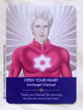 Angel Prayers Oracle Cards de Kyle Gray - Graine d'Eden Développement personnel, spiritualité, tarots et oracles divinatoires, Bibliothèques des Oracles, avis, présentation, review , revue