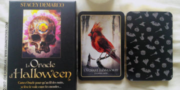 L'Oracle d'Halloween de Stacey Demarco - Graine d'Eden Développement personnel, spiritualité, tarots et oracles divinatoires, Bibliothèques des Oracles, avis, présentation, review , revue