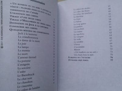 L'Oracle d'Halloween de Stacey Demarco - Graine d'Eden Développement personnel, spiritualité, tarots et oracles divinatoires, Bibliothèques des Oracles, avis, présentation, review , revue