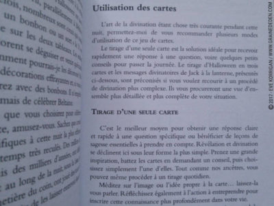 L'Oracle d'Halloween de Stacey Demarco - Graine d'Eden Développement personnel, spiritualité, tarots et oracles divinatoires, Bibliothèques des Oracles, avis, présentation, review , revue