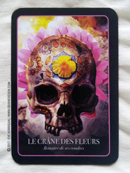 L'Oracle d'Halloween de Stacey Demarco - Graine d'Eden Développement personnel, spiritualité, tarots et oracles divinatoires, Bibliothèques des Oracles, avis, présentation, review , revue