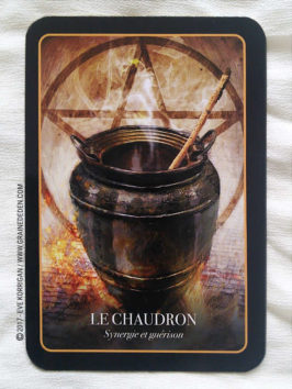 L'Oracle d'Halloween de Stacey Demarco - Graine d'Eden Développement personnel, spiritualité, tarots et oracles divinatoires, Bibliothèques des Oracles, avis, présentation, review , revue