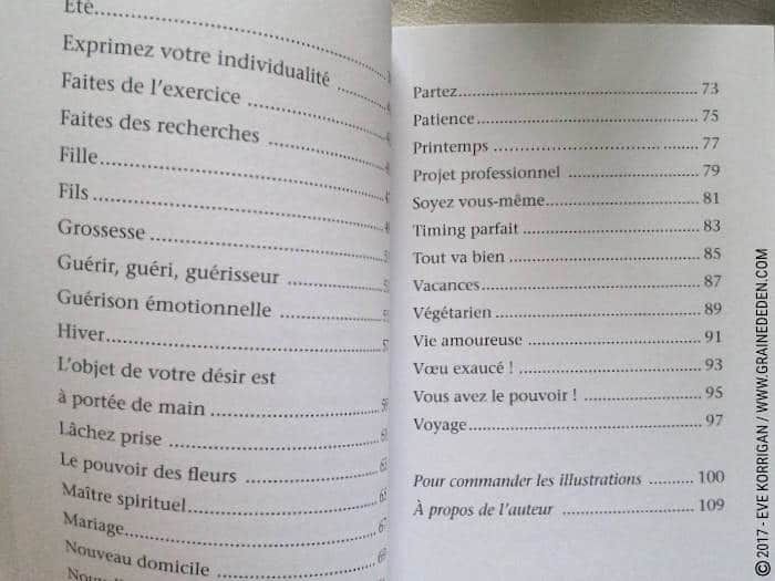 Graine d'Eden Développement personnel, spiritualité, tarots et oracles divinatoires, Bibliothèques des Oracles, avis, présentation, review , revue