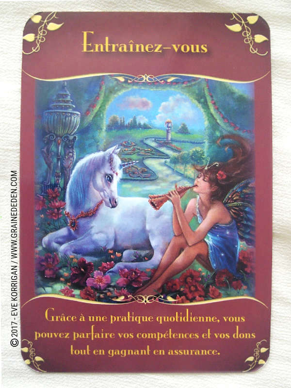 L'Oracle des Fées de Doreen Virtue - Graine d'Eden Développement personnel, spiritualité, tarots et oracles divinatoires, Bibliothèques des Oracles, avis, présentation, review , revue