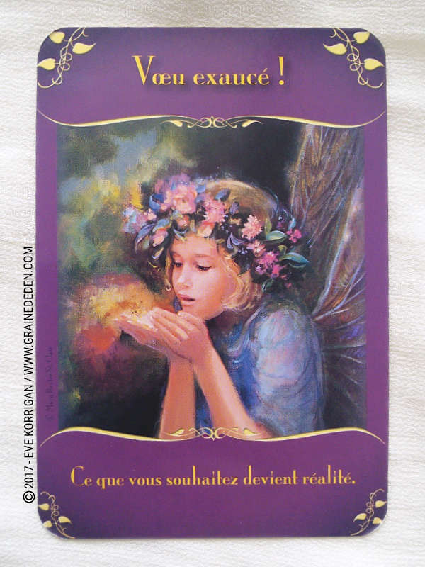 L'Oracle des Fées de Doreen Virtue - Graine d'Eden Développement personnel, spiritualité, tarots et oracles divinatoires, Bibliothèques des Oracles, avis, présentation, review , revue