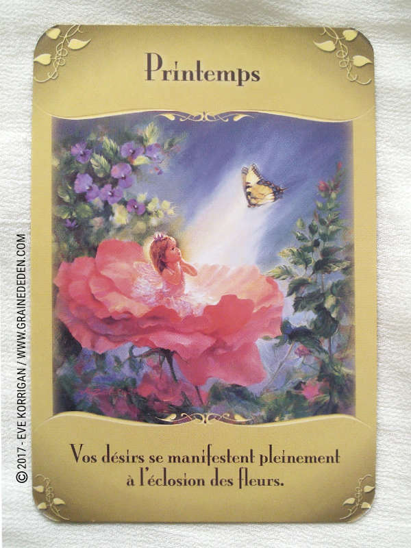 L'Oracle des Fées de Doreen Virtue - Graine d'Eden Développement personnel, spiritualité, tarots et oracles divinatoires, Bibliothèques des Oracles, avis, présentation, review , revue