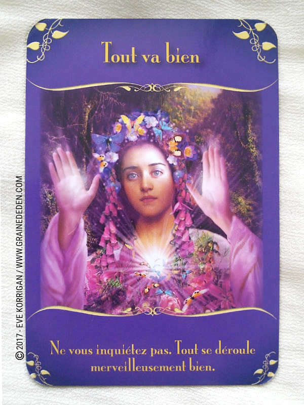 L'Oracle des Fées de Doreen Virtue - Graine d'Eden Développement personnel, spiritualité, tarots et oracles divinatoires, Bibliothèques des Oracles, avis, présentation, review , revue