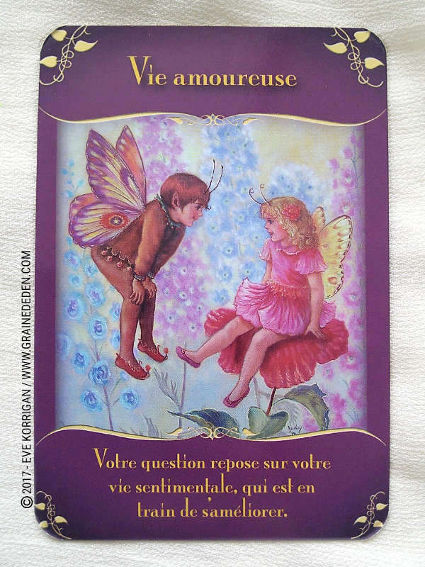 L'Oracle des Fées de Doreen Virtue - Graine d'Eden Développement personnel, spiritualité, tarots et oracles divinatoires, Bibliothèques des Oracles, avis, présentation, review , revue