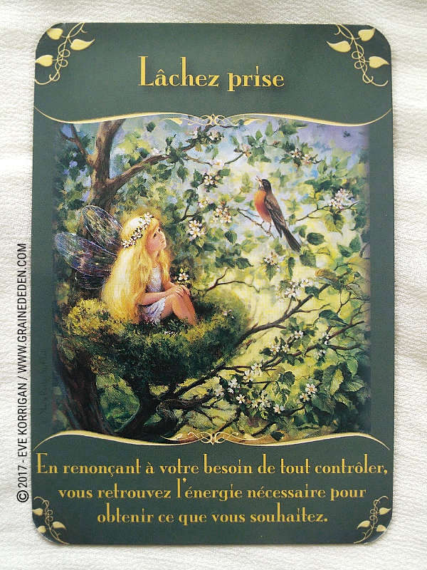 L'Oracle des Fées de Doreen Virtue - Graine d'Eden Développement personnel, spiritualité, tarots et oracles divinatoires, Bibliothèques des Oracles, avis, présentation, review , revue