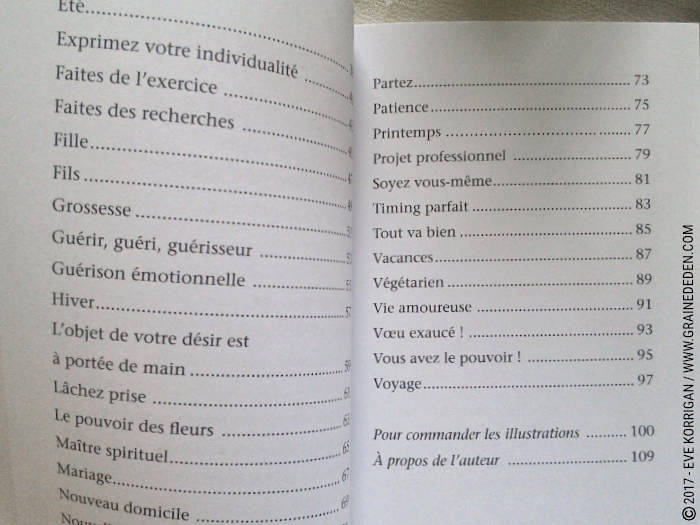 Graine d'Eden Développement personnel, spiritualité, tarots et oracles divinatoires, Bibliothèques des Oracles, avis, présentation, review , revue