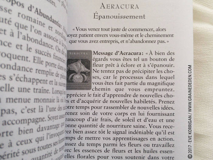 L'Oracle des Déesses de Doreen Virtue - Découvrez ce coffret de cartes Oracle dans la Bibliothèque des Oracles. Graine d'Eden Développement personnel, spiritualité, tarots et oracles divinatoires, Bibliothèques des Oracles, avis, présentation, review , revue