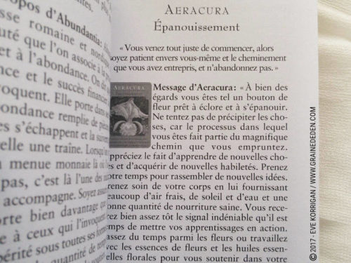 L'Oracle des Déesses de Doreen Virtue - Découvrez ce coffret de cartes Oracle dans la Bibliothèque des Oracles. Graine d'Eden Développement personnel, spiritualité, tarots et oracles divinatoires, Bibliothèques des Oracles, avis, présentation, review , revue