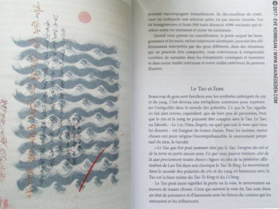 I Ching Oracle de Klaus et Marlies Holitzka - Graine d'Eden Développement personnel, spiritualité, tarots et oracles divinatoires, Bibliothèques des Oracles, avis, présentation, review , revue