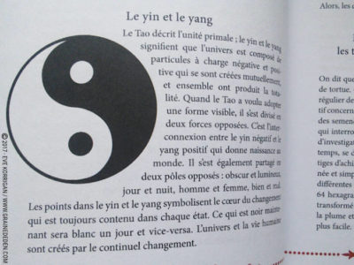 I Ching Oracle de Klaus et Marlies Holitzka - Graine d'Eden Développement personnel, spiritualité, tarots et oracles divinatoires, Bibliothèques des Oracles, avis, présentation, review , revue