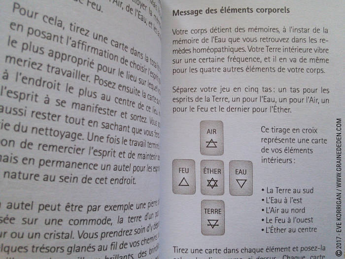 Oracle des êtres élémentaires de Joëlle Chautems et Jessica Maroulis - Graine d'Eden Développement personnel, spiritualité, tarots et oracles divinatoires, Bibliothèques des Oracles, avis, présentation, review , revue