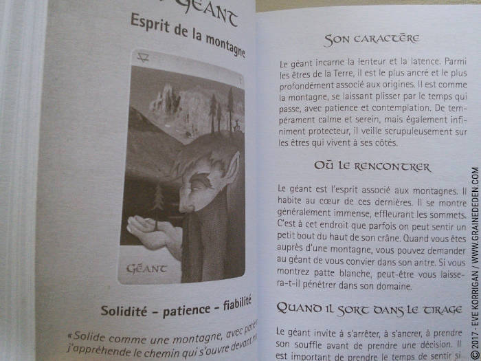 Oracle des êtres élémentaires de Joëlle Chautems et Jessica Maroulis - Graine d'Eden Développement personnel, spiritualité, tarots et oracles divinatoires, Bibliothèques des Oracles, avis, présentation, review , revue