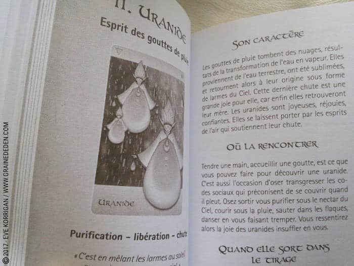 Oracle des êtres élémentaires de Joëlle Chautems et Jessica Maroulis - Graine d'Eden Développement personnel, spiritualité, tarots et oracles divinatoires, Bibliothèques des Oracles, avis, présentation, review , revue