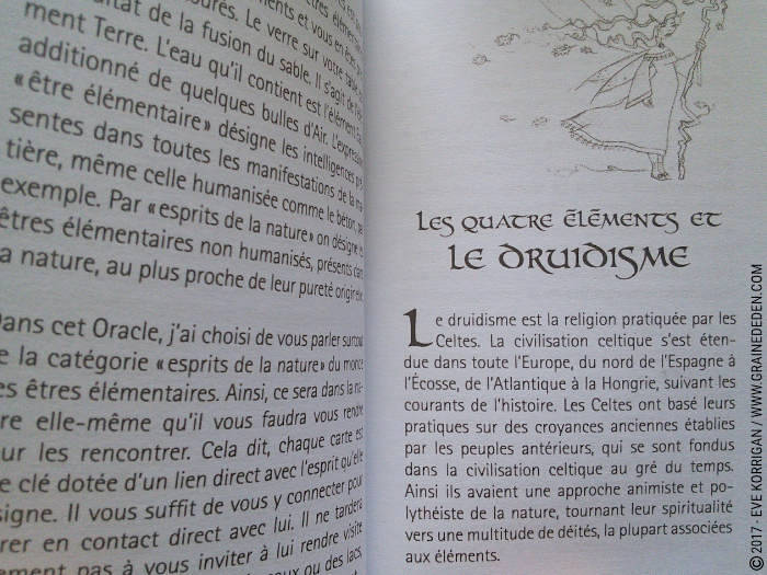 Oracle des êtres élémentaires de Joëlle Chautems et Jessica Maroulis - Graine d'Eden Développement personnel, spiritualité, tarots et oracles divinatoires, Bibliothèques des Oracles, avis, présentation, review , revue