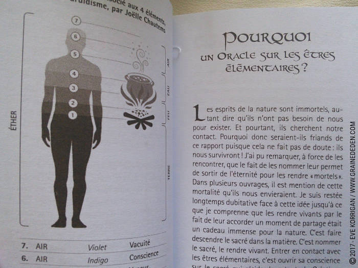 Oracle des êtres élémentaires de Joëlle Chautems et Jessica Maroulis - Graine d'Eden Développement personnel, spiritualité, tarots et oracles divinatoires, Bibliothèques des Oracles, avis, présentation, review , revue