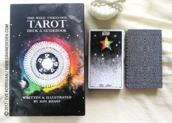 The Wild Unknown Tarot deck de Kim Krans - Graine d'Eden Développement personnel, spiritualité, tarots et oracles divinatoires, Bibliothèques des Oracles, avis, présentation, review , revue