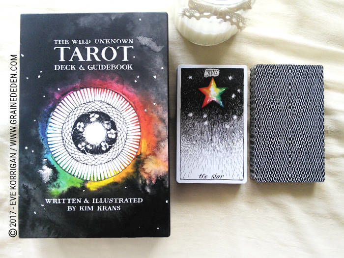 The Wild Unknown Tarot deck de Kim Krans - Graine d'Eden Développement personnel, spiritualité, tarots et oracles divinatoires, Bibliothèques des Oracles, avis, présentation, review , revue