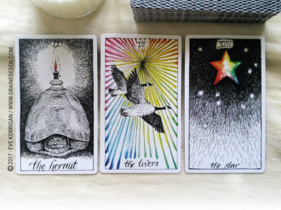 The Wild Unknown Tarot deck de Kim Krans - Graine d'Eden Développement personnel, spiritualité, tarots et oracles divinatoires, Bibliothèques des Oracles, avis, présentation, review , revue